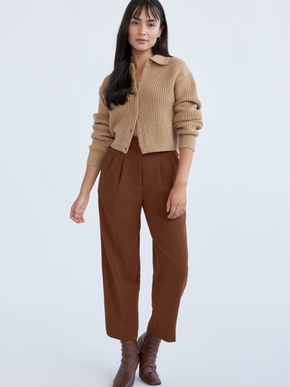 Aritzia Wilfred “Carrot” pants (sz 2, grey) like Effortless